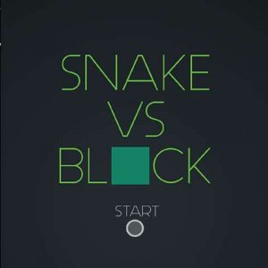 Snakes VS Digital Blocks