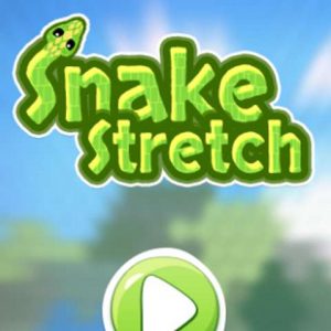 snake types game&action game snake Stretch